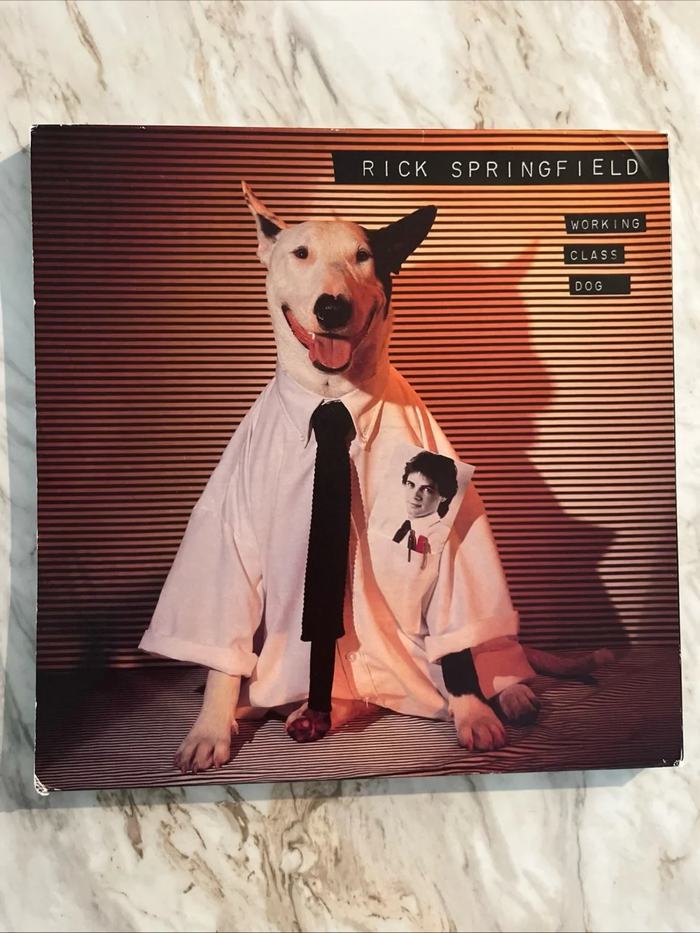 Rick Springfield year life